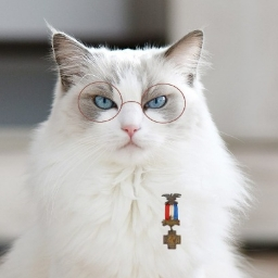 Catroe